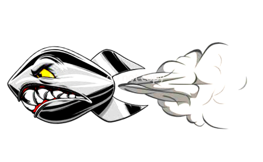 177873536-wbearbeitet