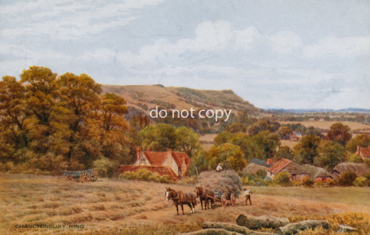 Alfred Robert Quinton - Chanctonbury Ring near Worthing - (MeisterDrucke-117199)