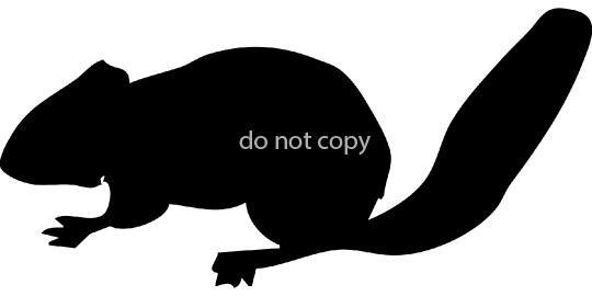 chipmunk-47372-jpg-a-