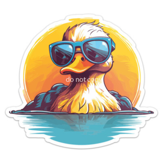 Cool Duck Bumper 585