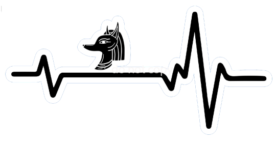 herz-zerox-anubisx-out