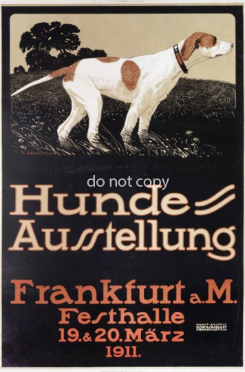 Hunde Ausstellung