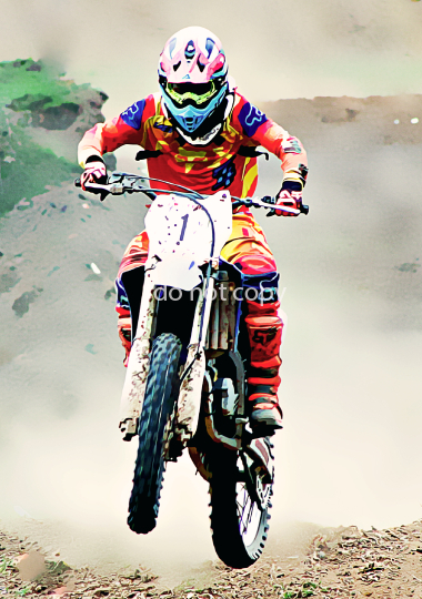 race-4622923-cartoonize