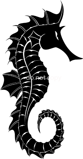 seahorse 2858708 jpg a 